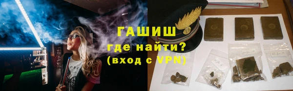 мдпв Ельня