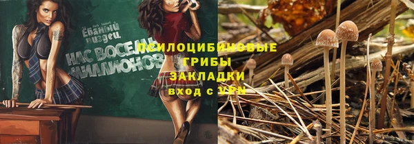 дмт Балабаново